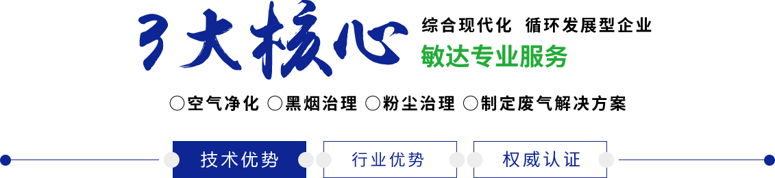 视频肏大屁股国产老骚女人的屄敏达环保科技（嘉兴）有限公司